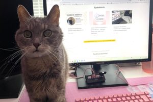 Oppeja ja onnistumisia Suomen Kirjallisuusterapiayhdistyksen harjoittelijana